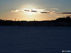 撮って出し(2025-01-19_16-14)-(E-M5-47(OLYMPUS