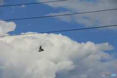 撮って出し-Canon EOS 60D-120.0-23_10_04_IMG_5