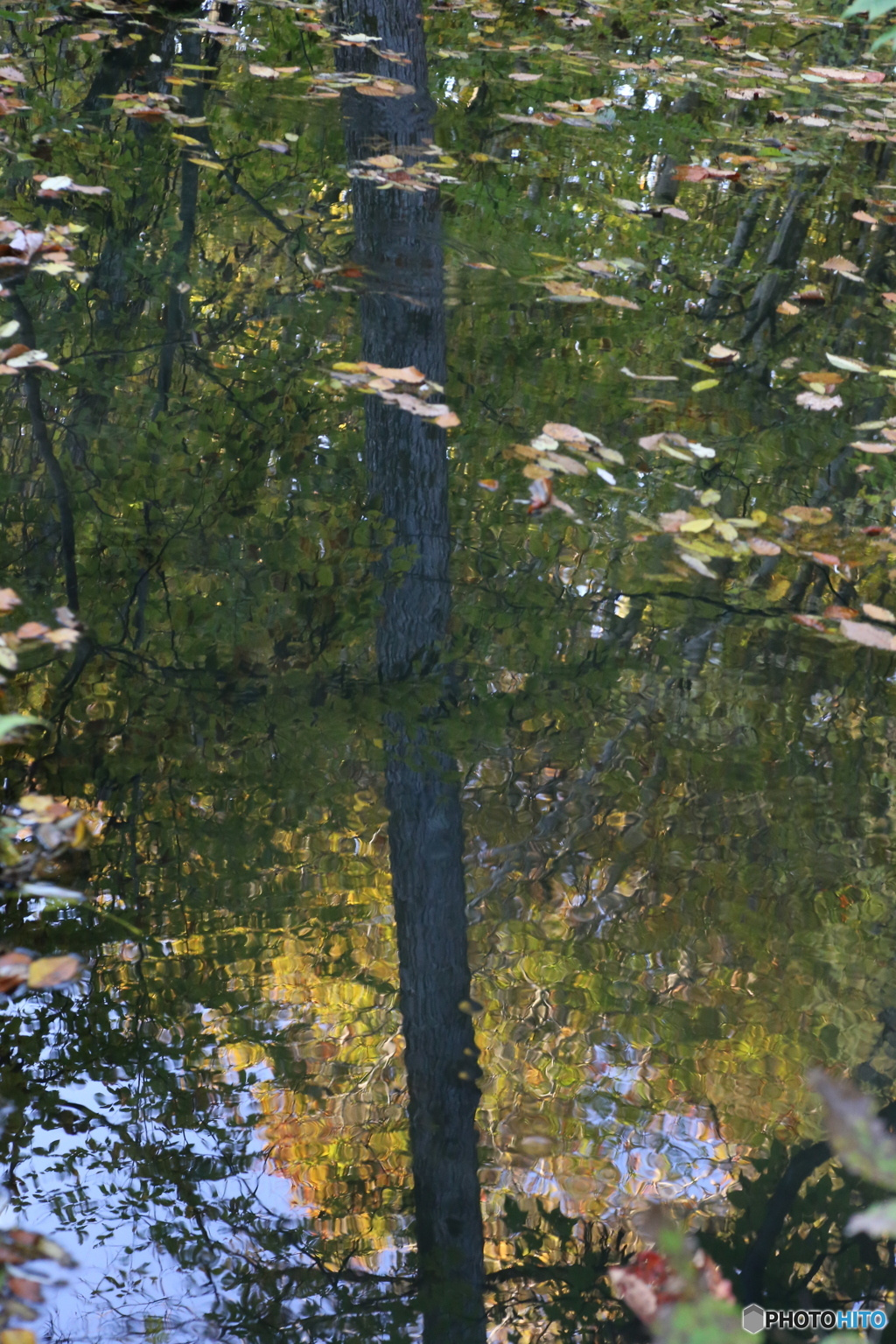 撮って出し(2025-10-27_06-42)-(Canon EOS 6D-90