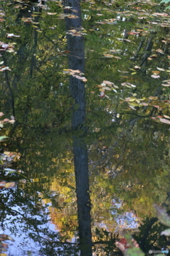 撮って出し(2025-10-27_06-42)-(Canon EOS 6D-90