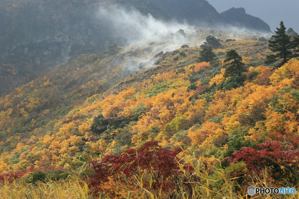 撮って出し-Canon EOS 6D-135.0-23_10_16_IMG_65