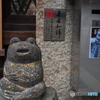 撮って出し(2024-03-06_14-06)-(E-M5-25(OLYMPUS