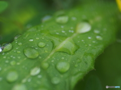 撮って出し(2024-07-25_16-32)-(E-M5-0())