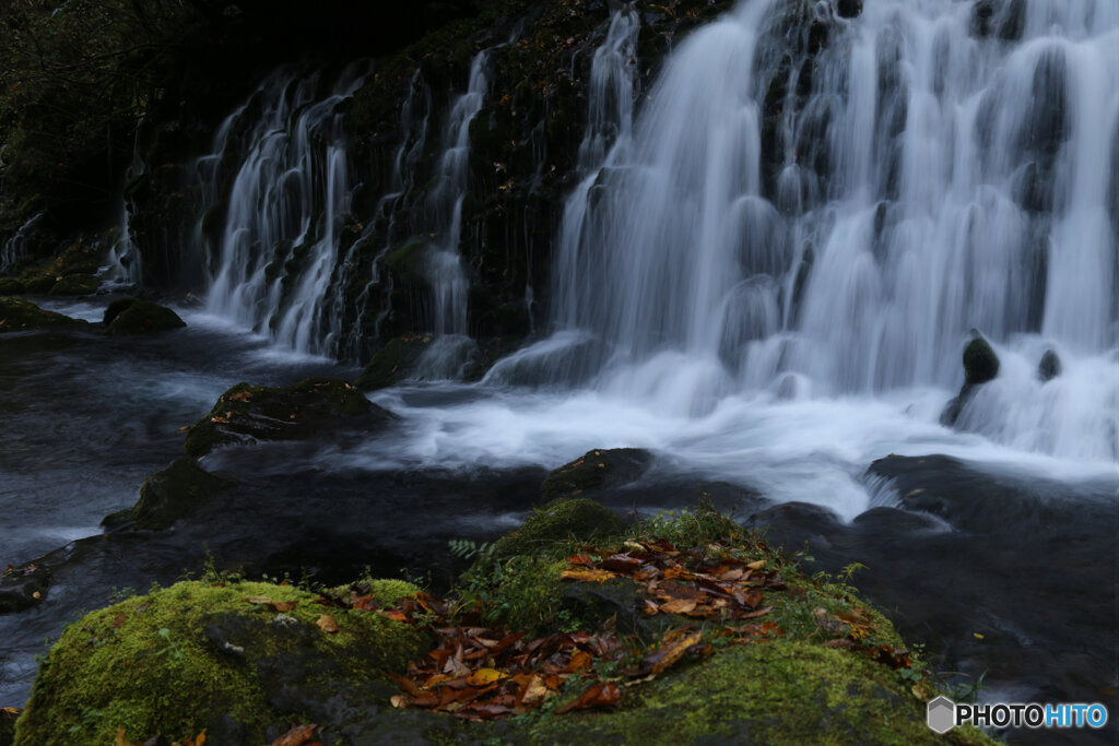 撮って出し(2025-11-04_07-09)-(Canon EOS 6D-28