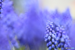 撮って出し-Canon EOS 6D-90.0-41_04_11-1