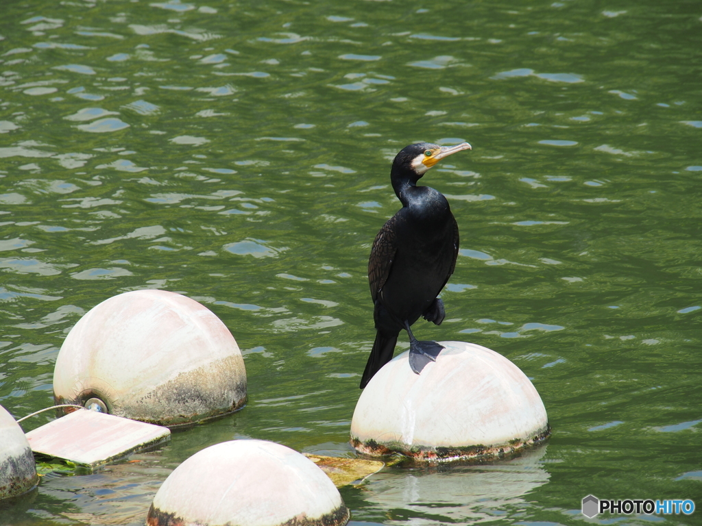 撮って出し-E-M5-150.0-23_06_18-0