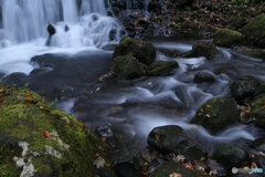 撮って出し(2025-11-04_07-09)-(Canon EOS 6D-28