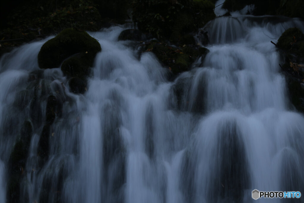 撮って出し(2025-11-04_07-13)-(Canon EOS 6D-95
