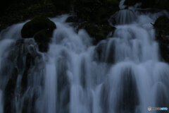 撮って出し(2025-11-04_07-13)-(Canon EOS 6D-95