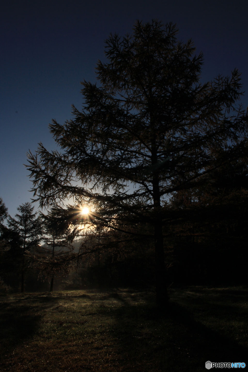 撮って出し-Canon EOS 60D-18.0-22_10_31-0