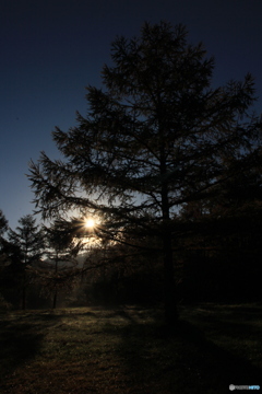 撮って出し-Canon EOS 60D-18.0-22_10_31-0