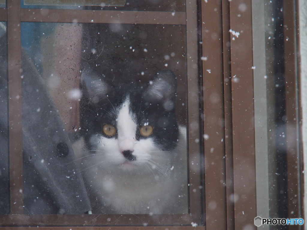 撮って出し(2025-01-17_10-55)-(E-M5-135(OLYMPU