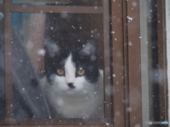 撮って出し(2025-01-17_10-55)-(E-M5-135(OLYMPU