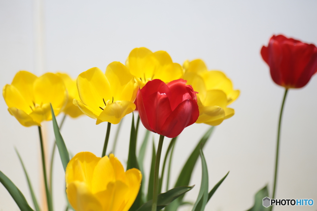 撮って出し(2024-04-18_11-59)-(Canon EOS 6D-90