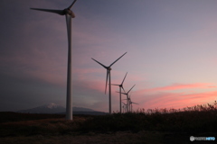 撮って出し(2025-11-05_16-53)-(Canon EOS 60D-2