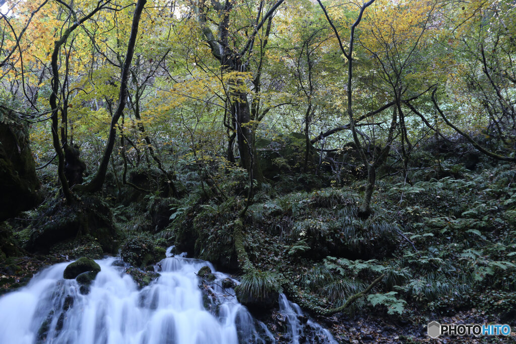 撮って出し(2025-11-04_07-11)-(Canon EOS 6D-28