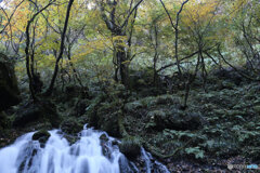 撮って出し(2025-11-04_07-11)-(Canon EOS 6D-28