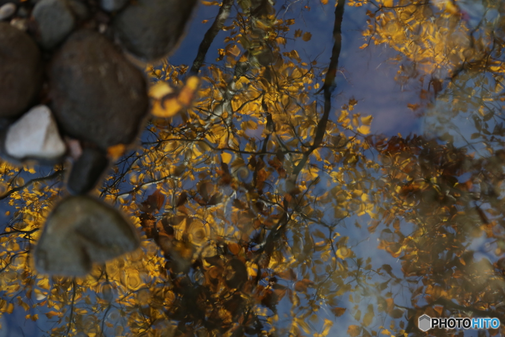 撮って出し(2025-11-04_10-55)-(Canon EOS 6D-13