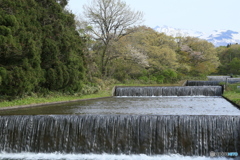 撮って出し-Canon EOS 6D-65.0-41_04_25-0