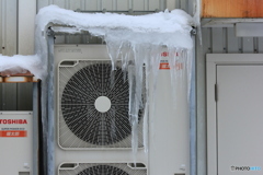 撮って出し(2025-02-25_11-26)-(Canon EOS 60D-7