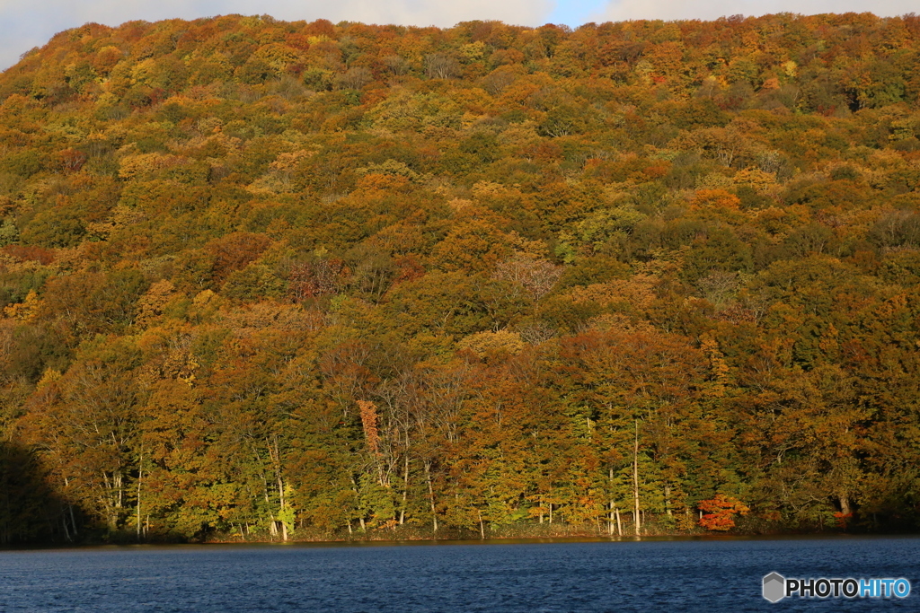 撮って出し(2025-10-27_06-30)-(Canon EOS 6D-90