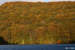 撮って出し(2025-10-27_06-30)-(Canon EOS 6D-90