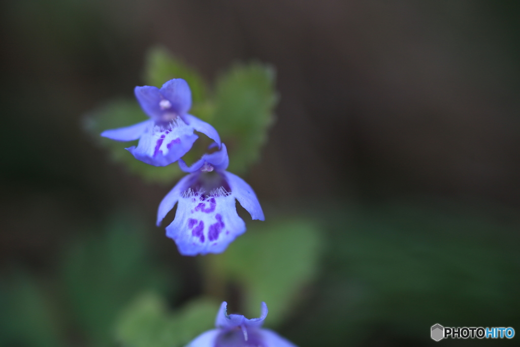 撮って出し-Canon EOS 6D-90.0-41_04_25-2