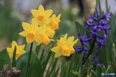 撮って出し-Canon EOS 60D-100.0-22_04_07-0