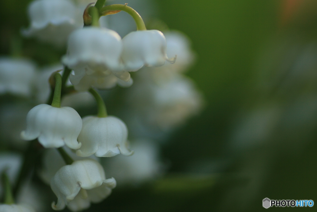 撮って出し-Canon EOS 60D-90.0-23_05_12-6