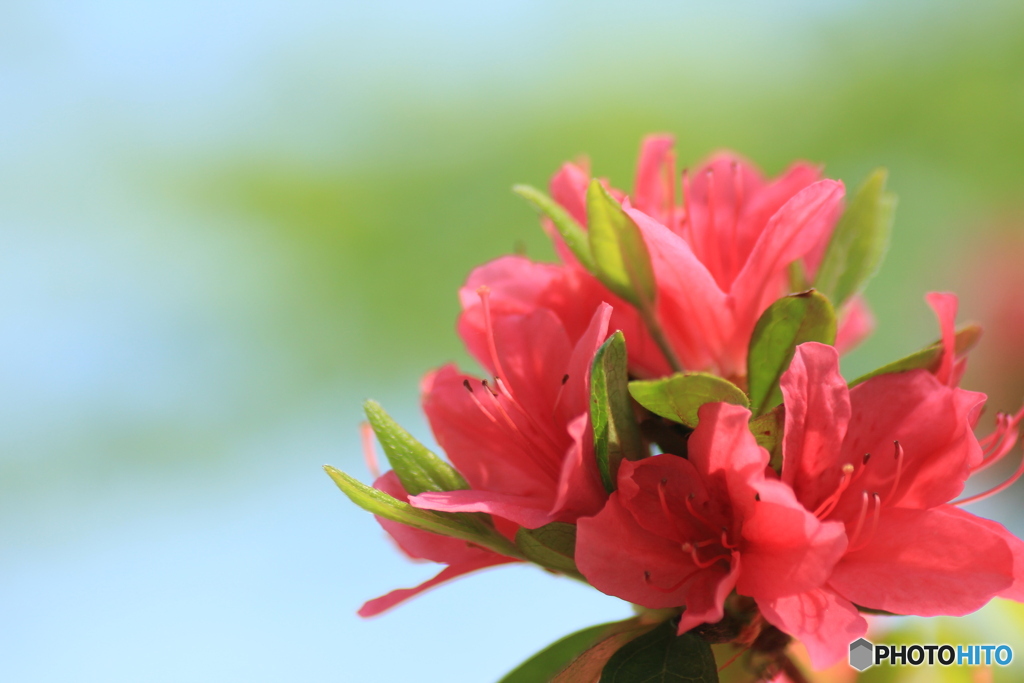 撮って出し(2024-05-04_14-01)-(Canon EOS 60D-9