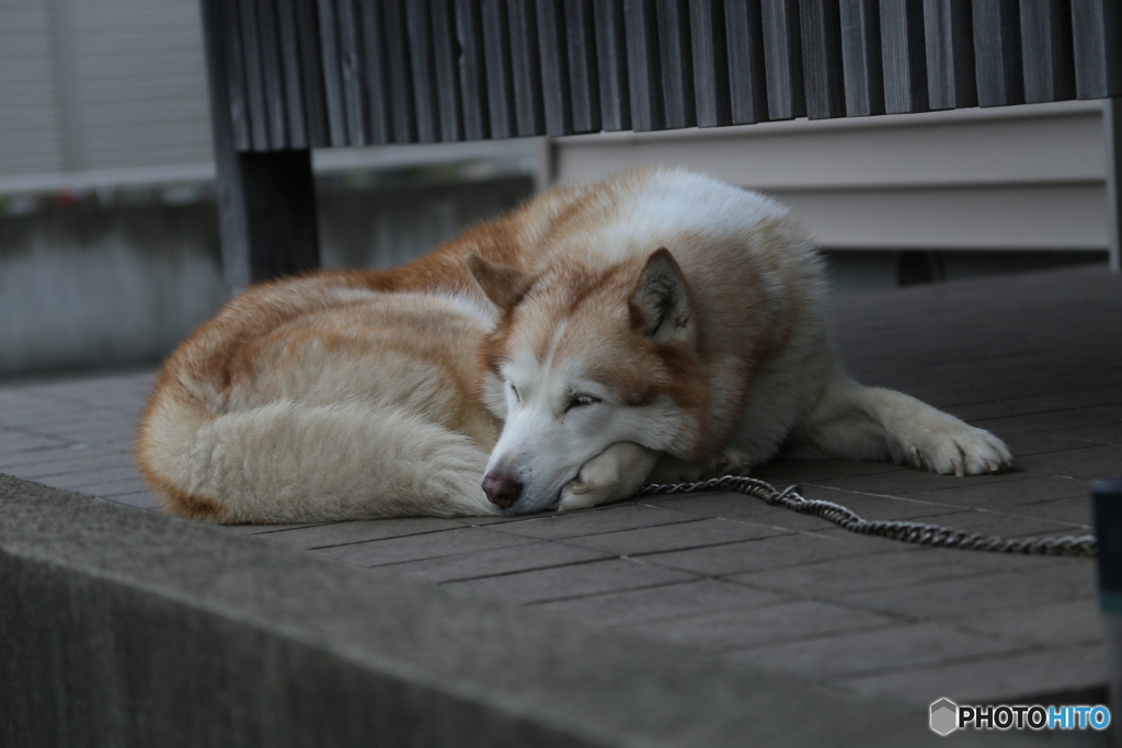 撮って出し(2025-04-25_11-34)-(Canon EOS 6D-13