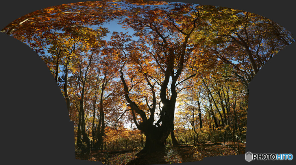 パノラマ合成　(2025-11-04_08-56)-( EOS 6D