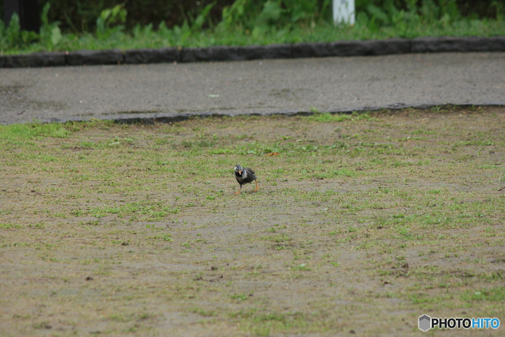 撮って出し(2025-05-11_10-09)-(Canon EOS 60D-2
