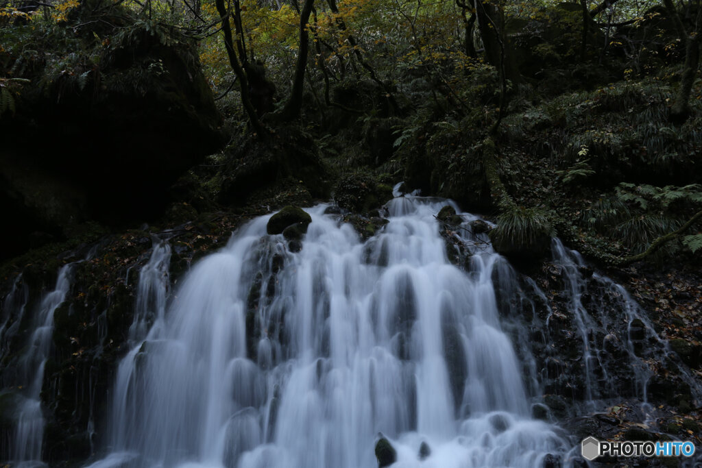 撮って出し(2025-11-04_07-10)-(Canon EOS 6D-28