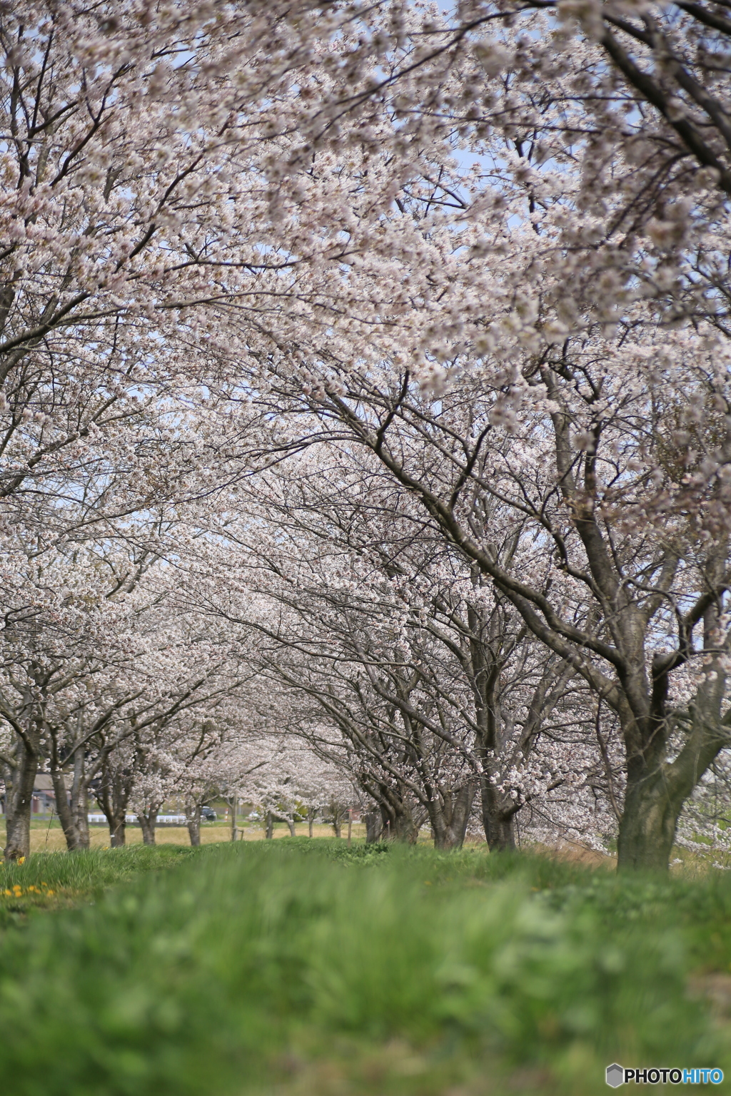 撮って出し-Canon EOS 6D-90.0-41_04_11-7