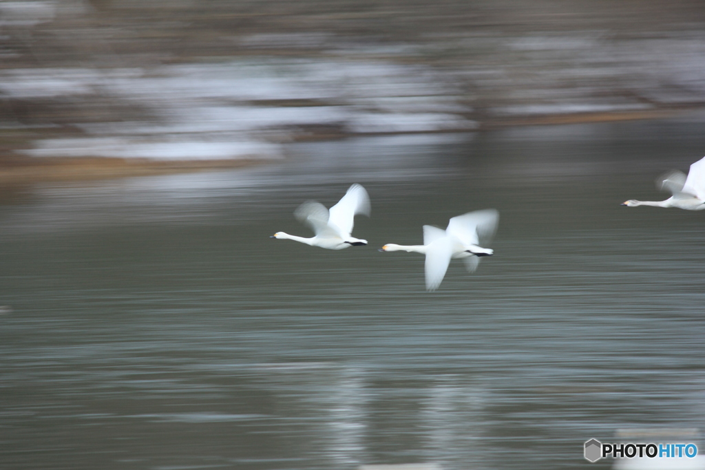 撮って出し(2025-02-26_08-33)-(Canon EOS 60D-2