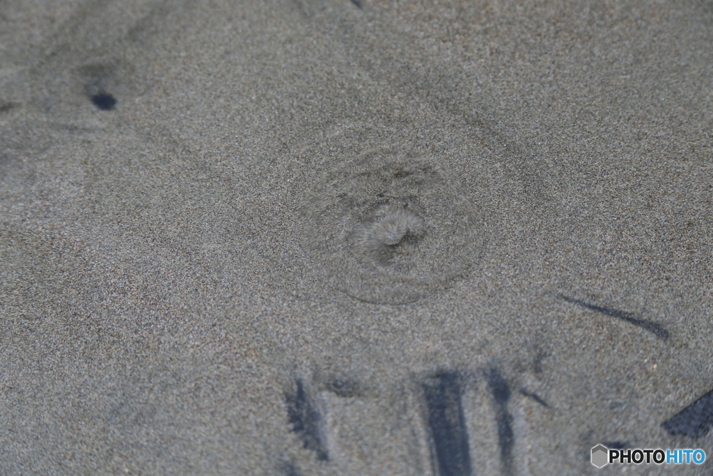 撮って出し(2025-05-26_13-53)-(Canon EOS 6D-13