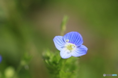 撮って出し-Canon EOS 6D-90.0-41_04_11-5