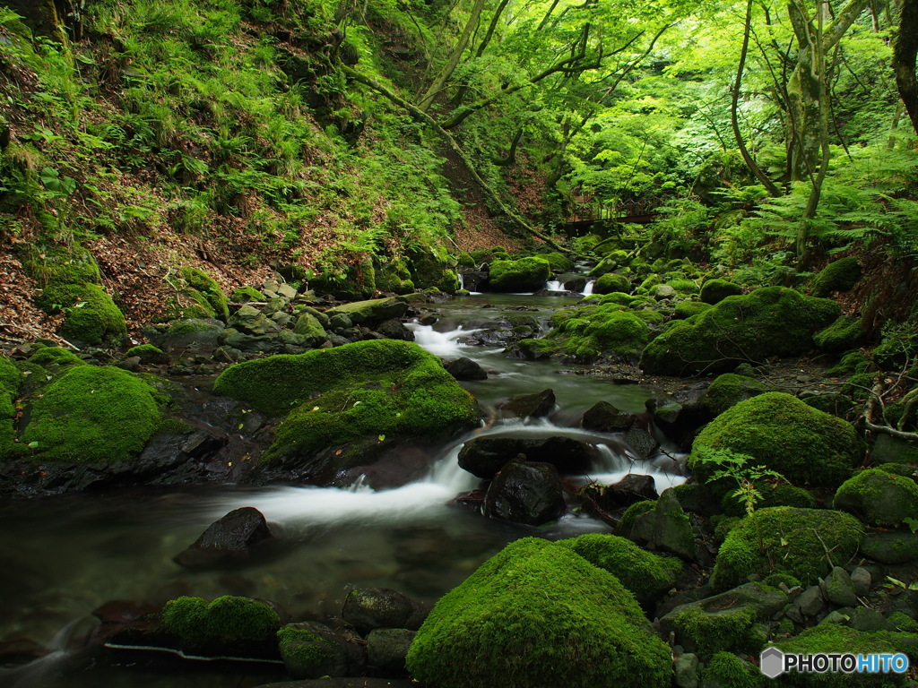 撮って出し-E-M5-14.0-23_06_12-0