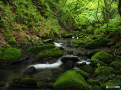 撮って出し-E-M5-14.0-23_06_12-0