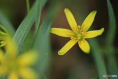撮って出し(2024-04-08_11-21)-(Canon EOS 6D-90