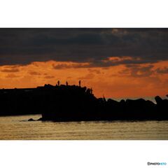 撮って出し(2023-07-06_03-33)--250