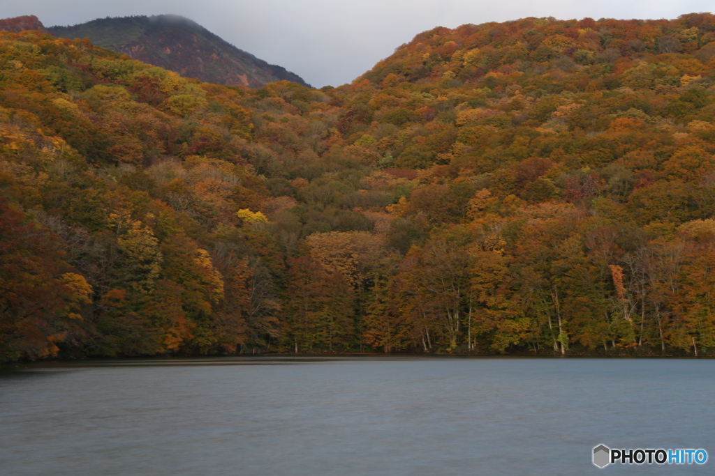 撮って出し(2025-10-27_05-43)-(Canon EOS 6D-75