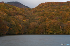 撮って出し(2025-10-27_05-43)-(Canon EOS 6D-75