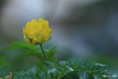 撮って出し-Canon EOS 60D-90.0-41_03_30-6