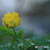 撮って出し-Canon EOS 60D-90.0-41_03_30-6