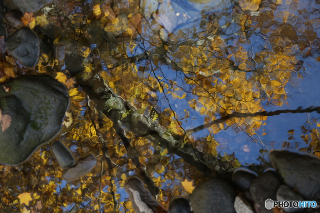 撮って出し(2025-11-04_10-55)-(Canon EOS 6D-13