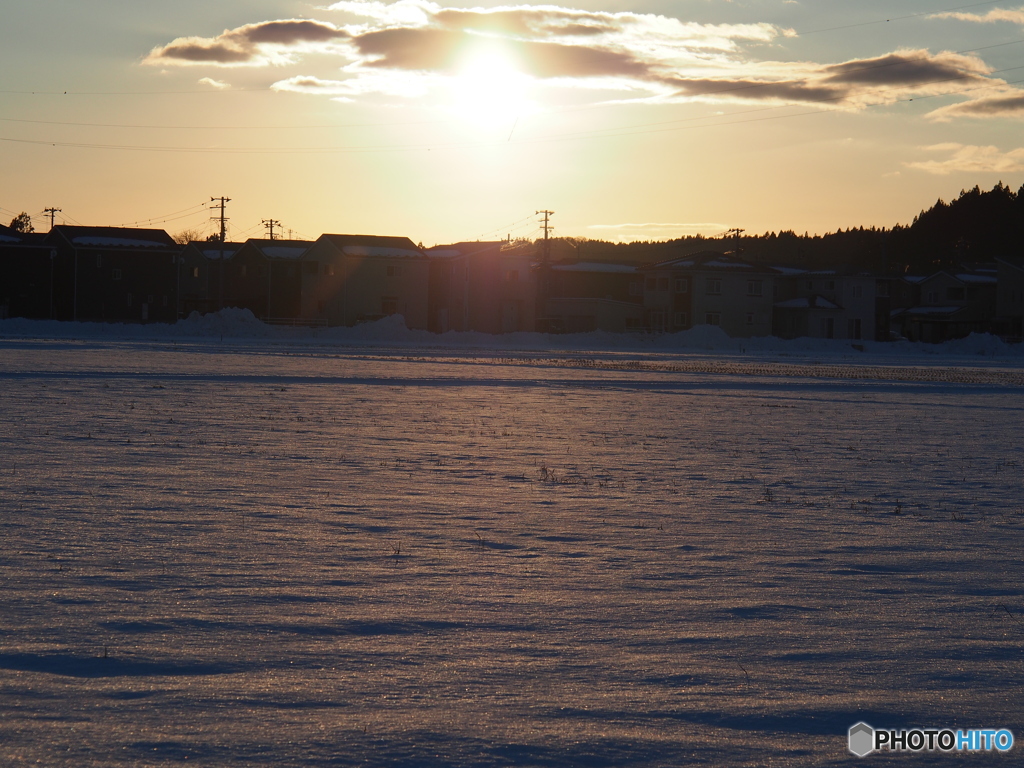 撮って出し(2025-01-19_16-16)-(E-M5-54(OLYMPUS