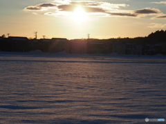 撮って出し(2025-01-19_16-16)-(E-M5-54(OLYMPUS