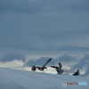 撮って出し-E-M5-150.0-23_09_04_P9045382-0